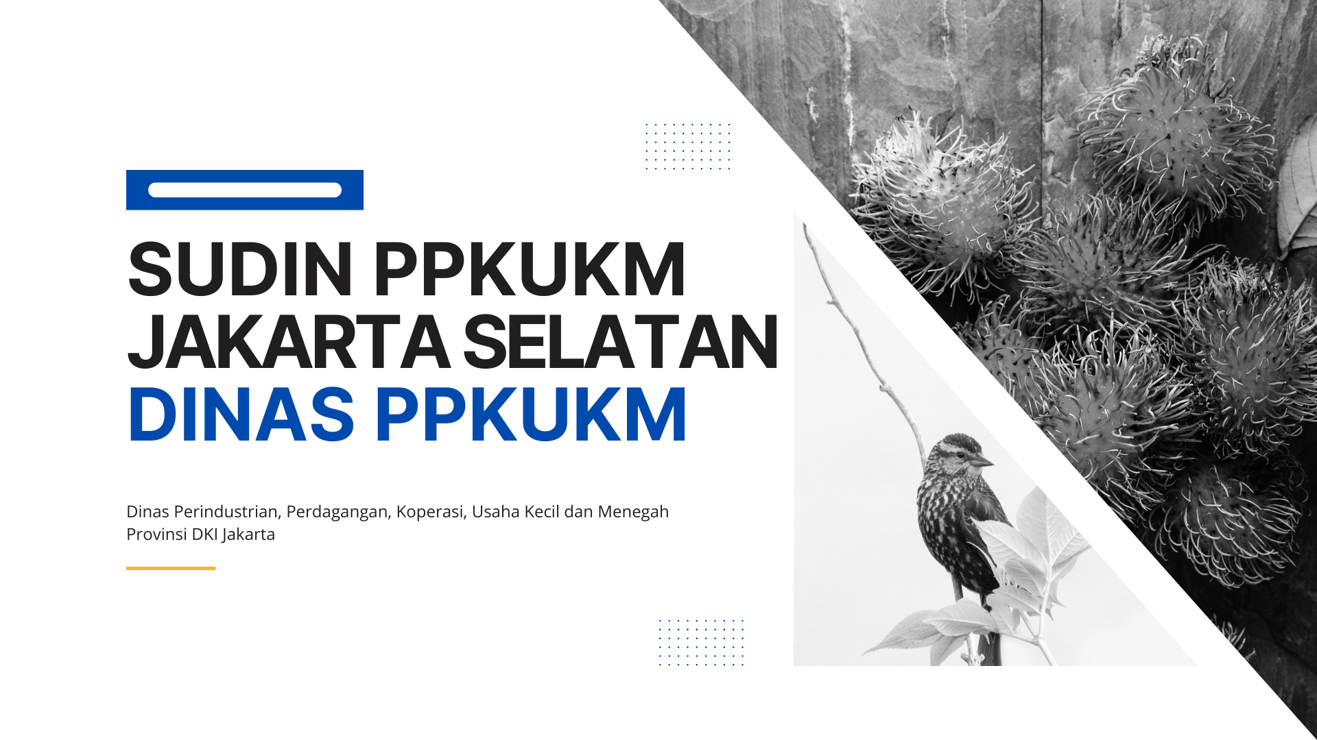 Sekretariat Dinas PPKUKM