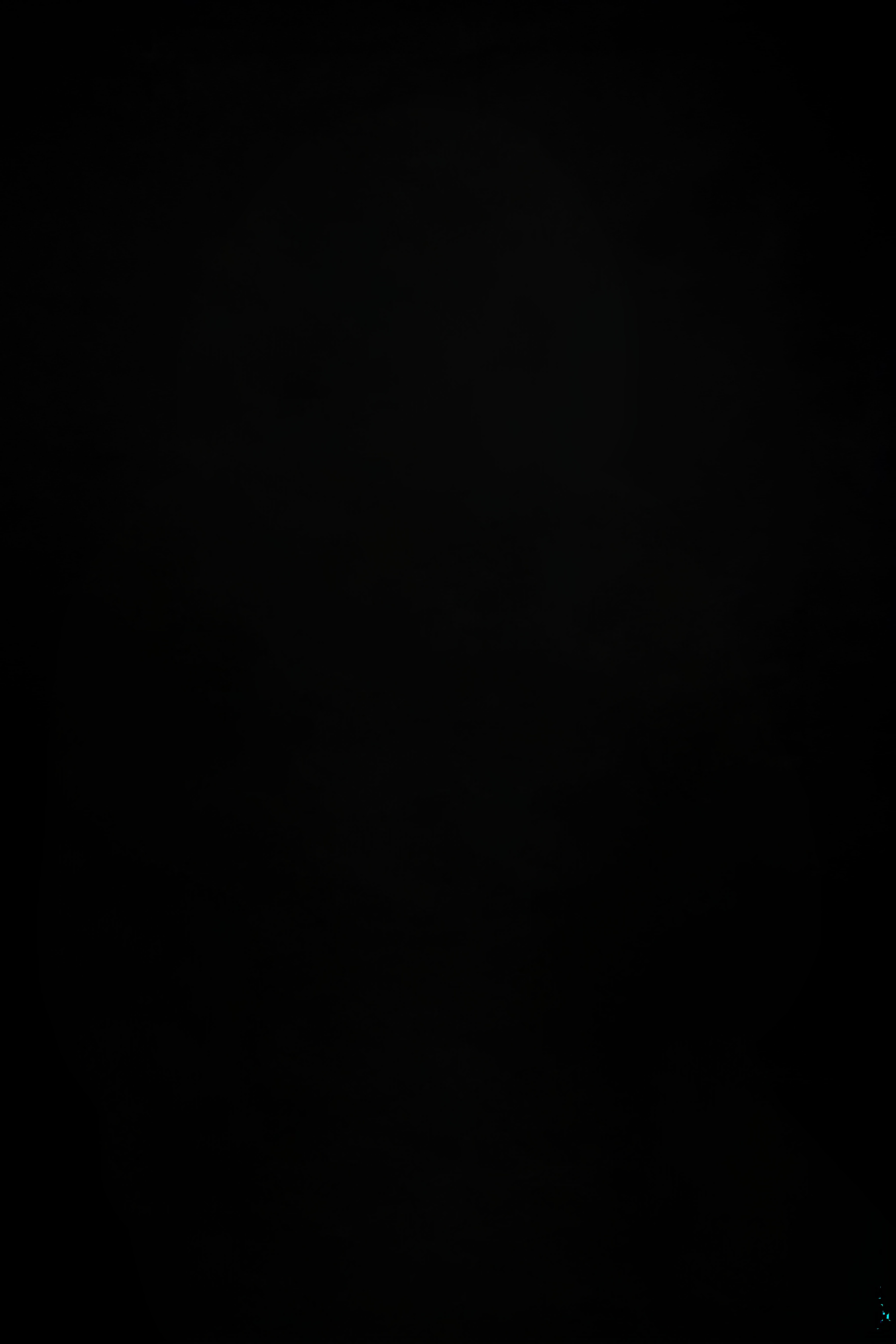 Sri Damai Yanti Br. Damanik